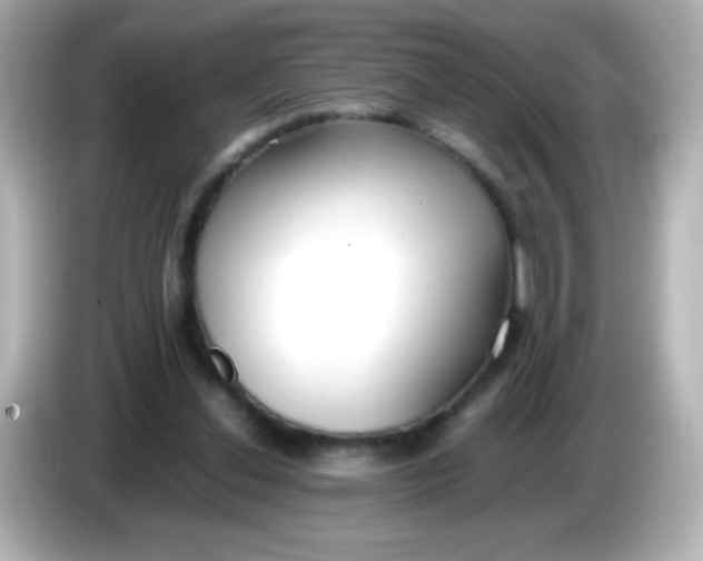 X0000086040252200704091156