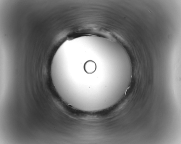 X0000086040256200704091156