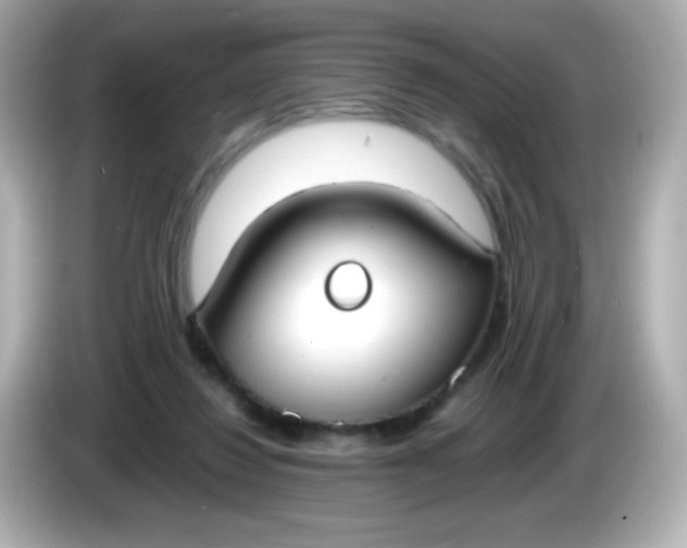 X0000086040260200704091156