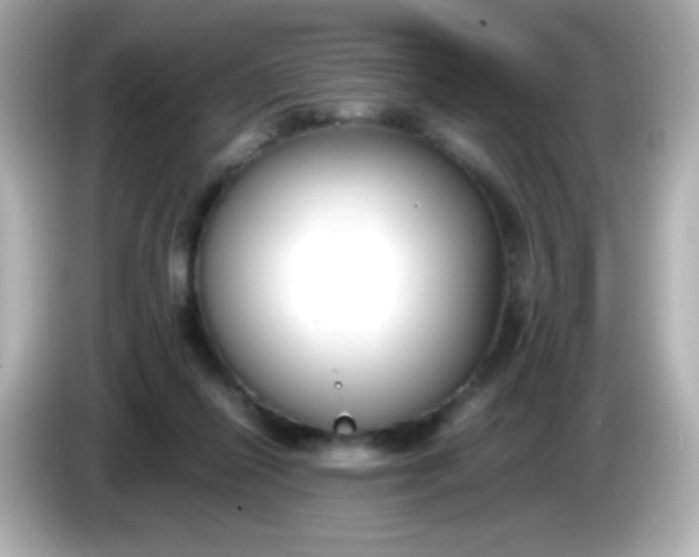 X0000086040262200704091156