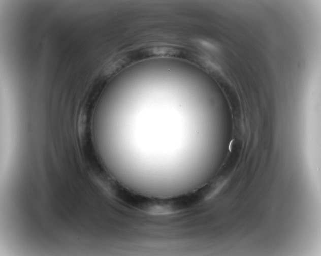 X0000086040263200704091156