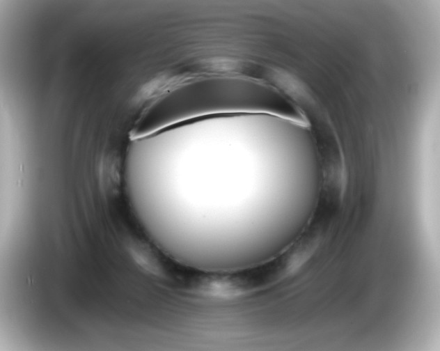 X0000086040264200704091156