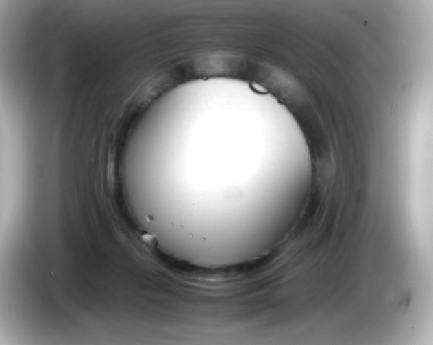 X0000086040267200704091156