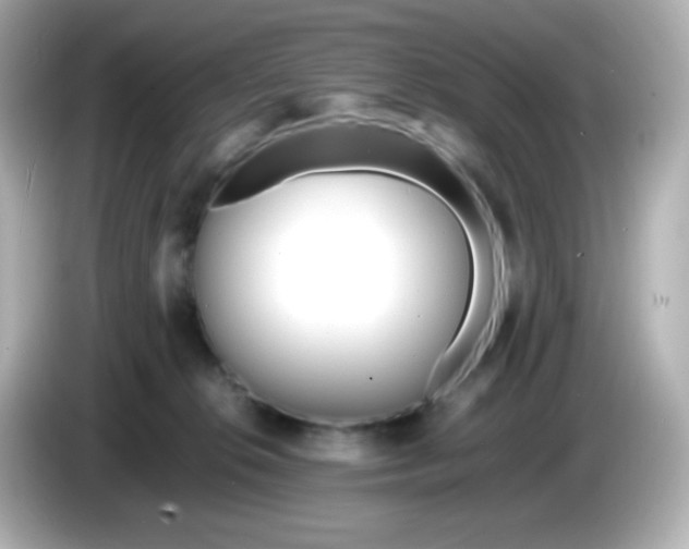 X0000086040276200704091156