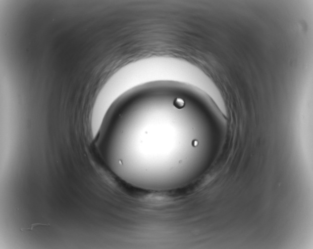 X0000086040280200704091156