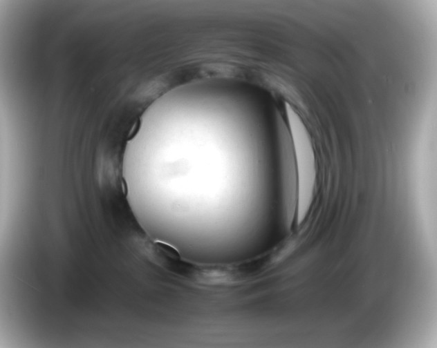 X0000086040285200704091156