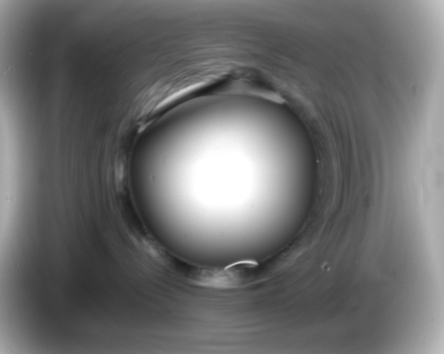 X0000086040288200704091156
