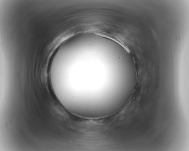 X0000086040290200704091155