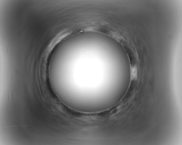 X0000086040291200704091155