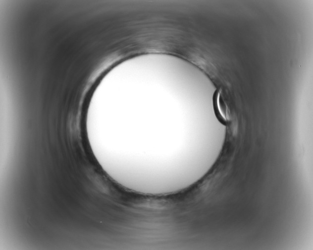 X0000086040292200704091155