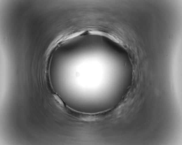 X0000086040293200704091155