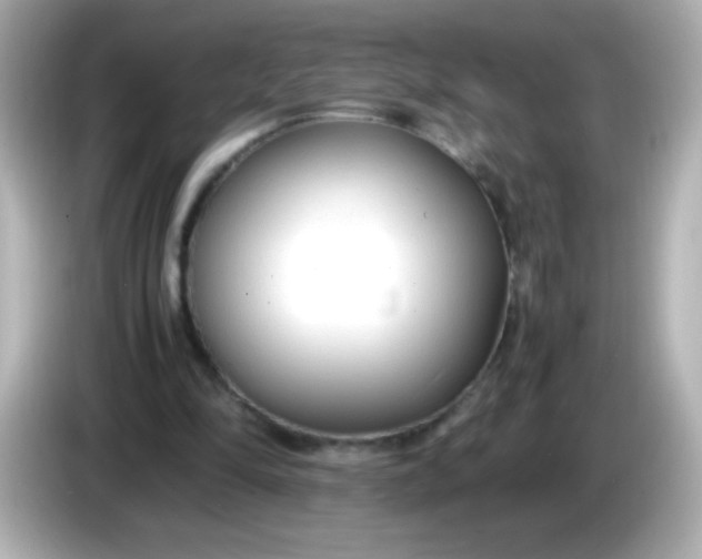 X0000086040294200704091155