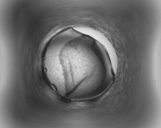 X0000086040295200704091155