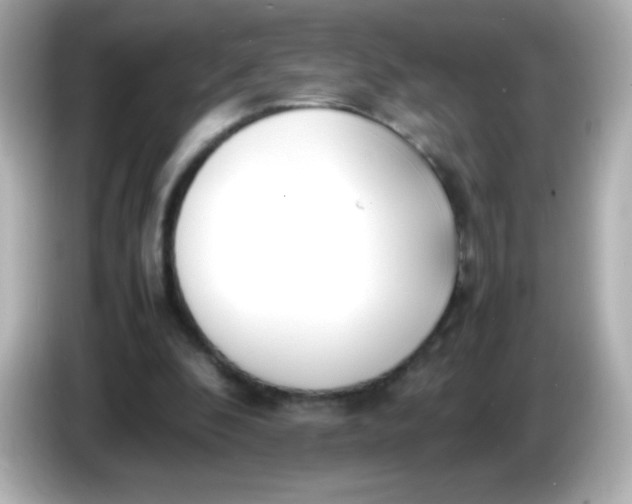 X0000086040296200704091155
