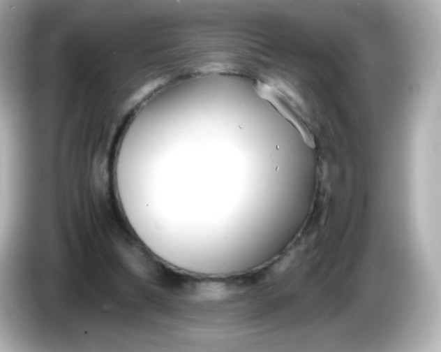 X0000086040298200704091155