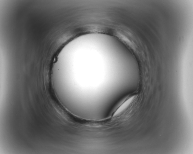 X0000086040299200704091155