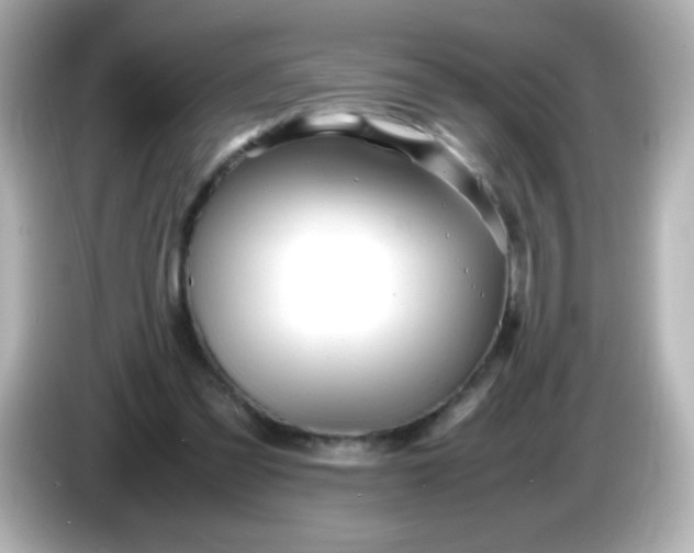X0000086040301200704091155