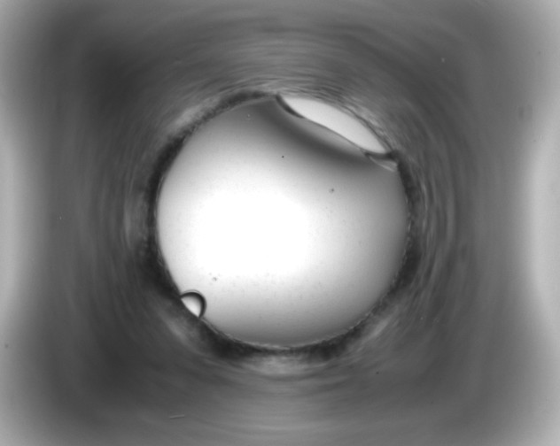 X0000086040303200704091155