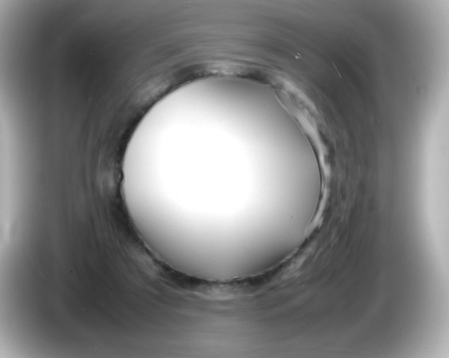 X0000086040305200704091155