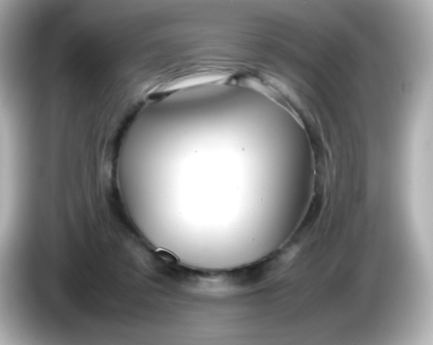 X0000086040309200704091155