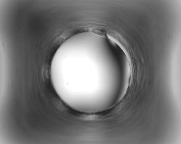 X0000086040313200704091155