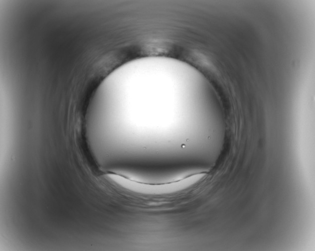 X0000086040315200704091155