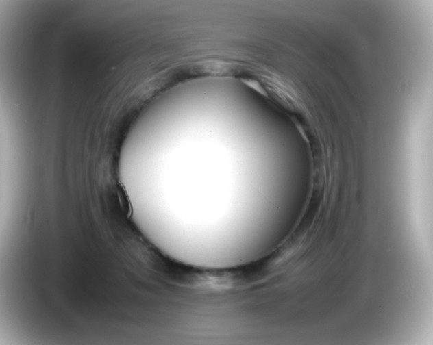 X0000086040317200704091155