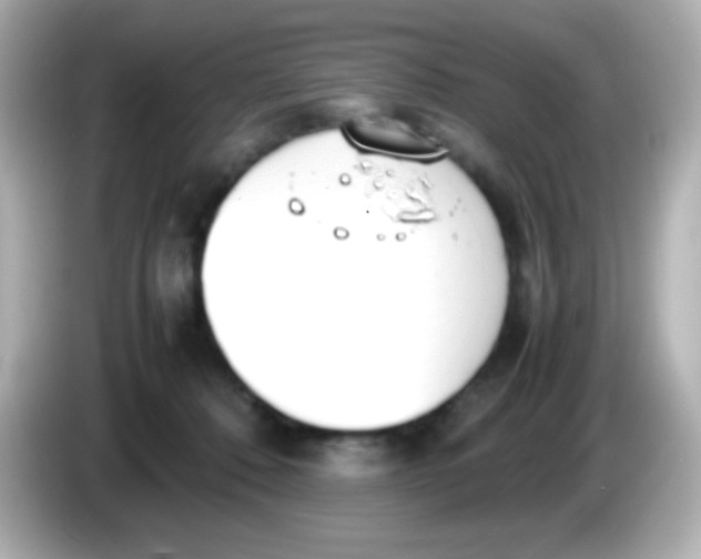 X0000086040320200704091155