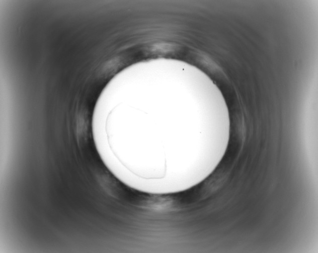 X0000086040328200704091155