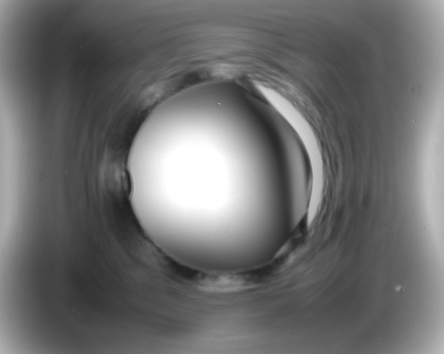 X0000086040329200704091155