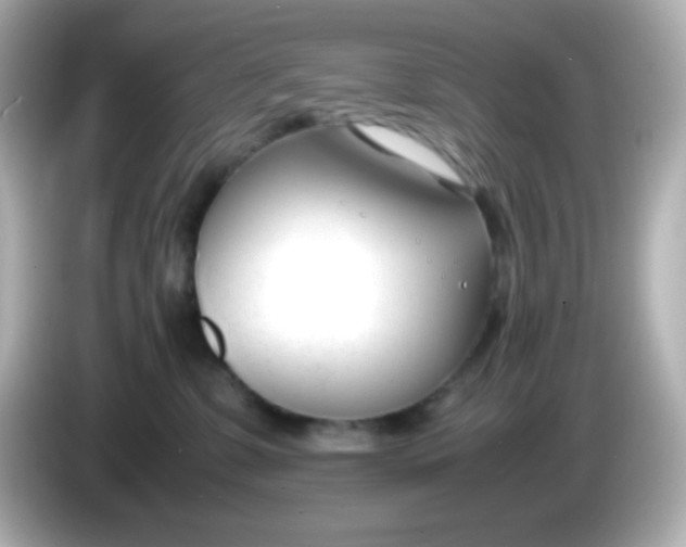 X0000086040331200704091155