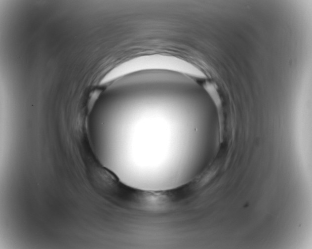 X0000086040333200704091155