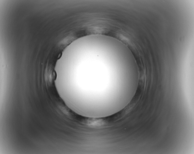 X0000086040334200704091155