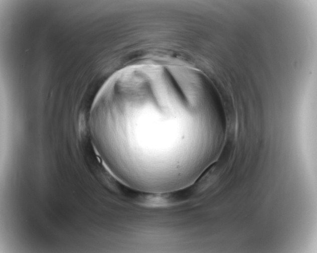 X0000086040335200704091155