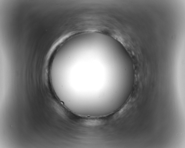 X0000086040342200704091154