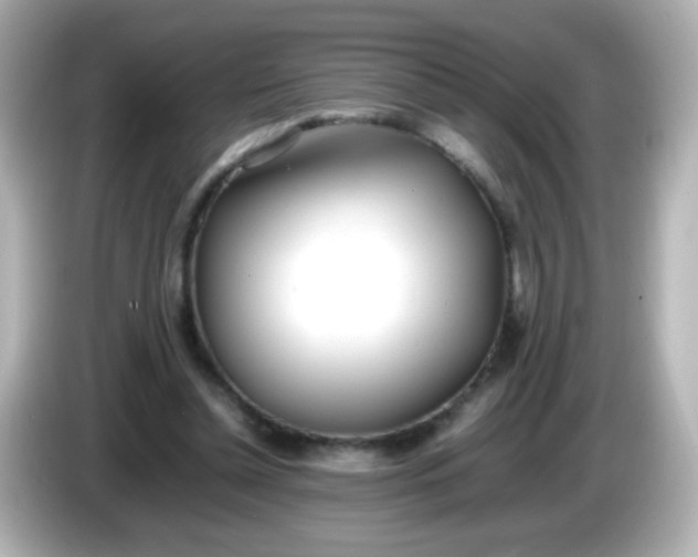 X0000086040348200704091154