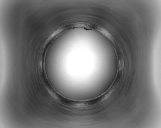 X0000086040349200704091155