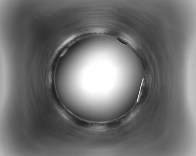 X0000086040350200704091155