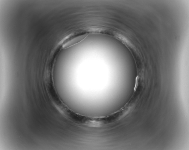 X0000086040352200704091155