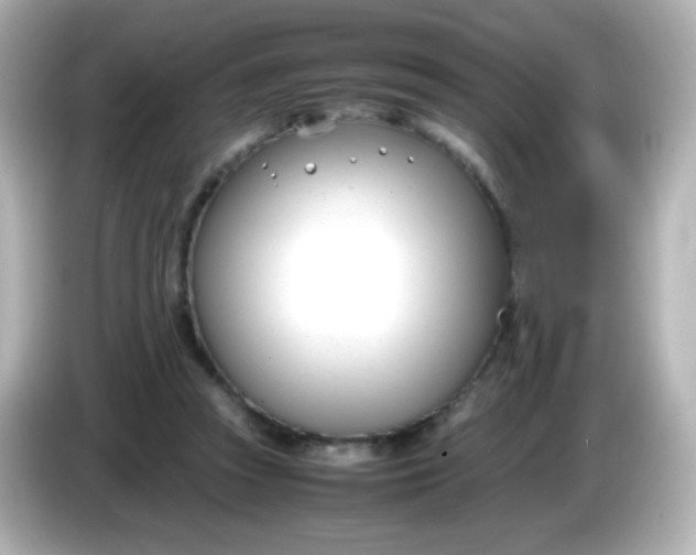X0000086040353200704091155