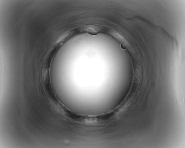 X0000086040355200704091155