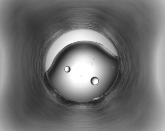 X0000086040356200704091155