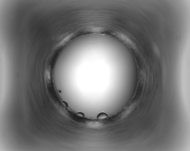 X0000086040358200704091155