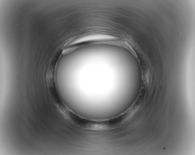 X0000086040360200704091155