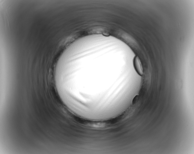 X0000086040361200704091155