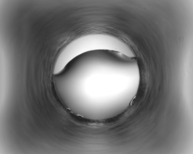 X0000086040362200704091155