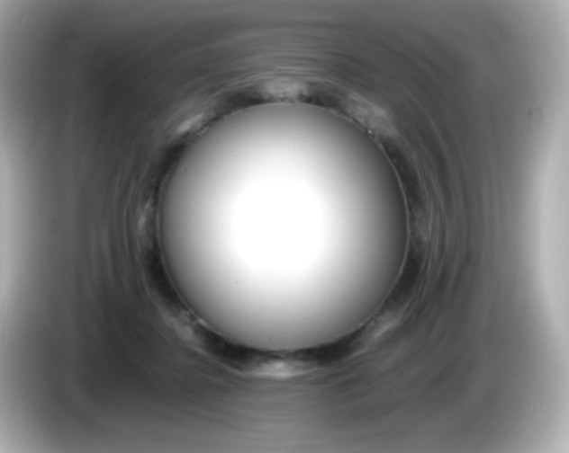 X0000086040364200704091155