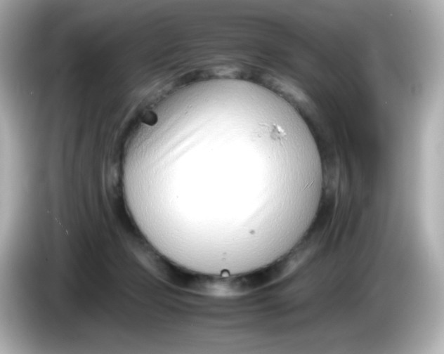 X0000086040365200704091155