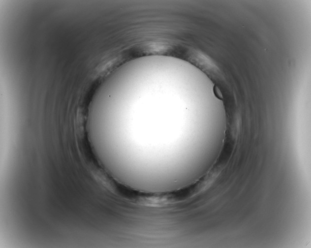 X0000086040366200704091155