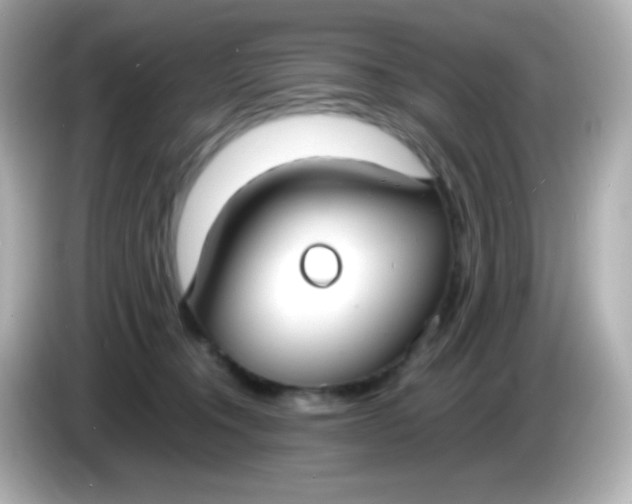 X0000086040372200704091155